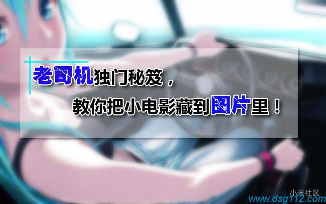 dsg112社区